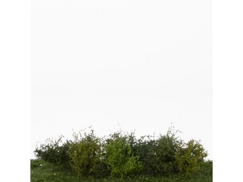 Silhouette Shrubs assortment - Spring - ca. 3cm - H0 / TT (252-02)
