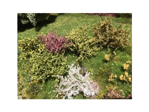 Silhouette Shrubs assortment - Spring - 0/1 (352-02)
