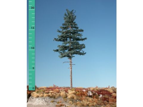 Silhouette Nordic fir high trunk - Summer - 0 (< ca. 8cm) (177-02)