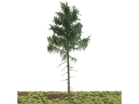 Silhouette Nordic fir high trunk - Summer - 20-24cm (275-000-0)