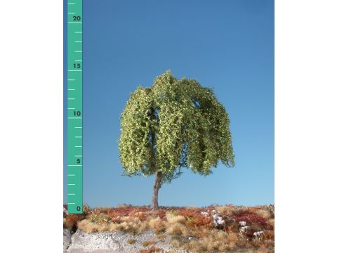 Silhouette Weeping willow - Early fall - 1 (ca. 10-13cm) - N / Z (240-13)