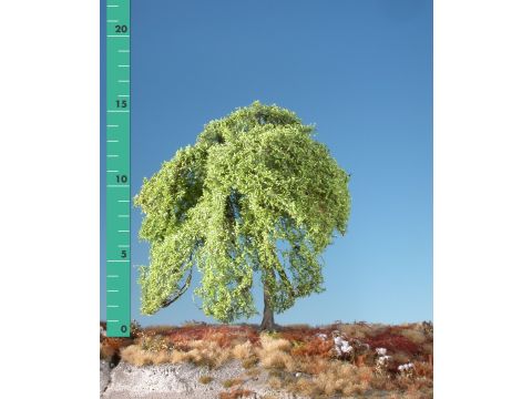 Silhouette Weeping willow - Spring - 1 (ca. 10-13cm) - N / Z (240-11)