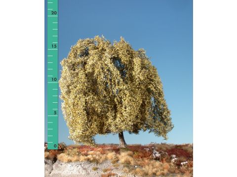 Silhouette Weeping willow - Late fall - 1 (ca. 10-13cm) - N / Z (240-14)