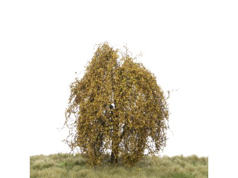 Silhouette Weeping willow - Late fall - 12-16cm (240-44)