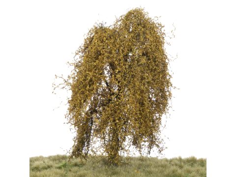 Silhouette Weeping willow - Late fall - 17-22cm (240-54)