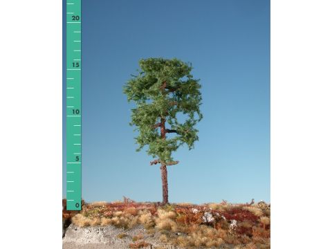 Silhouette Forest pine - Summer - 0 (< ca. 8cm) (170-02)