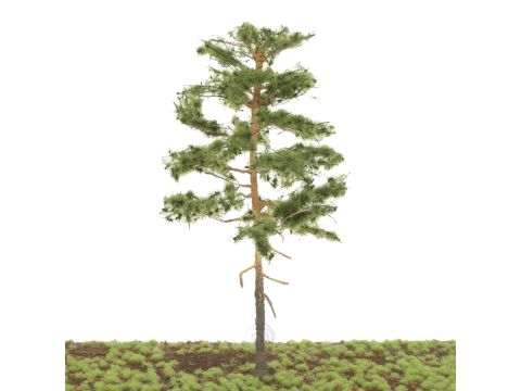 Silhouette Forest pine - Summer - 20-24cm (270-000-0)