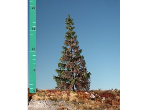 Silhouette Weathered green spruce - Summer - 0 (< ca. 8cm) (173-06)