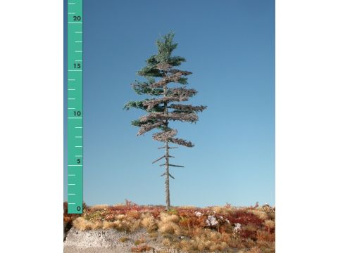 Silhouette Weathered nordic fir high trunk - Summer - 1 (ca. 10-13cm) (177-16)