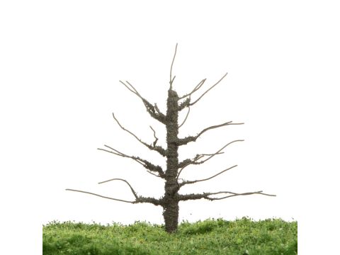 Unique Appletree - Trunk - 12-16cm (81-0226-01)
