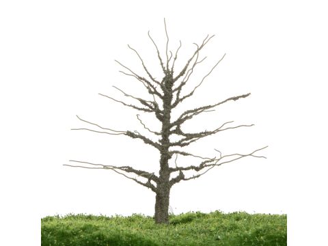Unique Oak - Trunk - 12-16cm (81-0280-01)