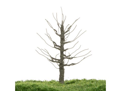 Unique Plum tree - Trunk - 12-16cm (81-0229-01)