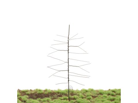 Unique Scots pine - Trunk - Buildingkit - 135 mm (81-0000-01)