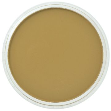 PanPastel Yellow Ochre Shade (270.3)
