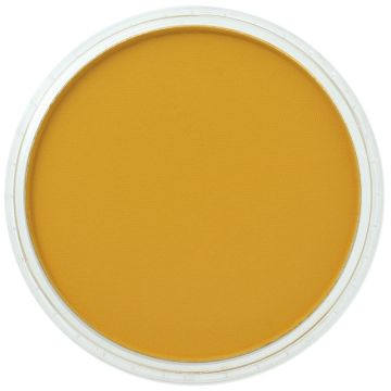 PanPastel Yellow Ochre (270.5)