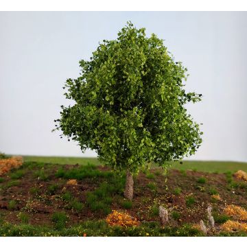 Silhouette Maple - spring -  - CA. 8cm - Z / N / TT / H0 (230-61)