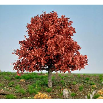 Silhouette Maple - late fall -  - red - CA. 8cm - Z / N / TT / H0 (230-65)