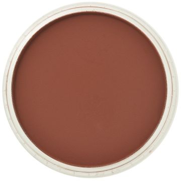 PanPastel Red Iron Oxide Extra Shade (380.3)