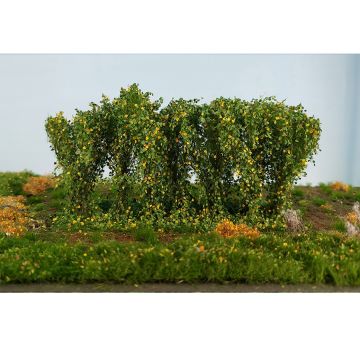Silhouette Hedge - early fall - ca 8-9 x 15cm - 0 / I / II (254-43)