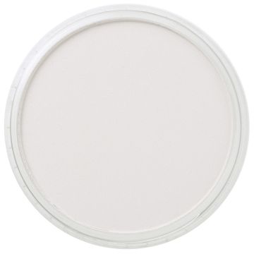 PanPastel Neutral Grey Tint 2 (820.8)