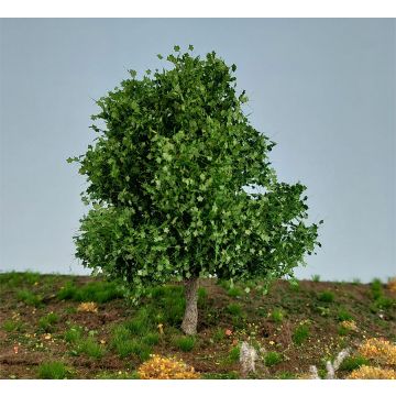 Silhouette Chestnut - Summer - 10-13 cm - H0 / TT (291-42)