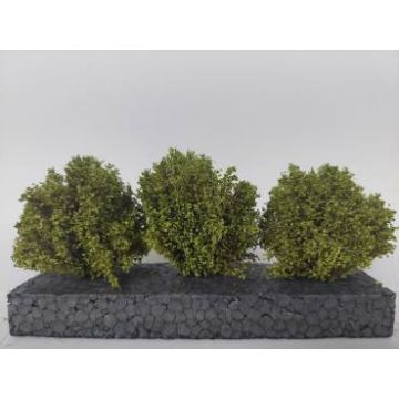 Silhouette Shrubs set - Spring - ca. 3-4 cm (350-51)