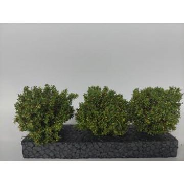 Silhouette Shrubs set - early fall - ca. 3-4 cm (350-53)