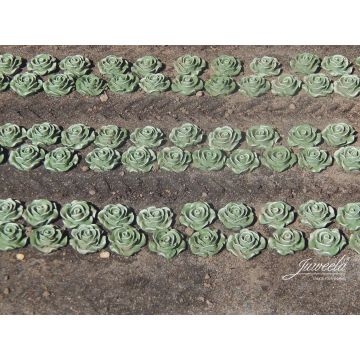 Juweela Lettuce plants - 120x - 0 / 1:43,5 (JW24237)