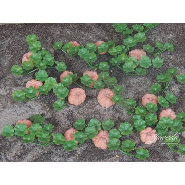 Juweela Pumpkin patch, fruits and plants - 15x/20x - 0 / 1:43,5 (JW24241)