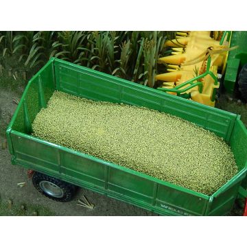 Juweela BAG OF MAIZE - GREEN -  - 1 / 1:32 (JW23304)
