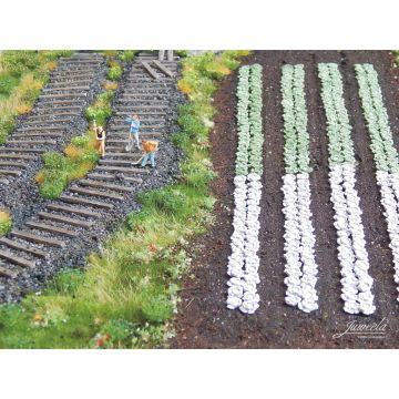 Juweela Wed cabbage plants - 220x - H0 / 1:87 (JW28228)