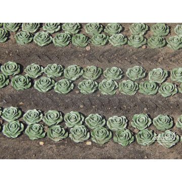 Juweela LETTUCE - GREEN -  - 1:32 / 1:35 (JW23441)