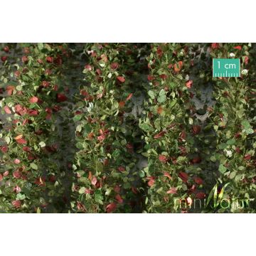 Mininatur Agricultural strips with leaves - Early fall - ca. 42cm - 1:45+ (766-33S)