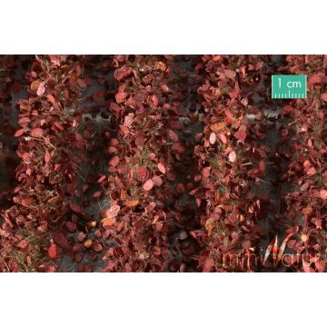 Mininatur Agricultural strips with leaves - Late fall - ca. 42cm - 1:45+ (766-34S)