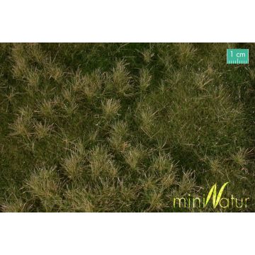 Mininatur Fertile plain meadow - Early fall - ca. 25x15,5cm - H0 / TT (733-23S)