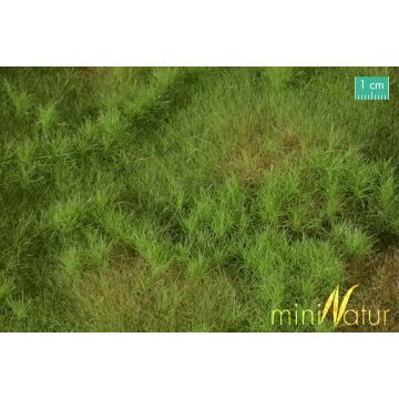 Mininatur Fertile plain meadow - Spring - ca. 25x15,5cm - H0 / TT (733-21S)