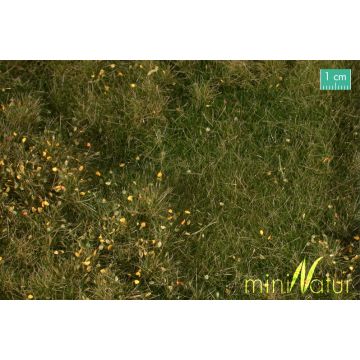 Mininatur Fertile plain meadow with weeds - Early fall - ca. 25x15,5cm - H0 / TT (734-23S)