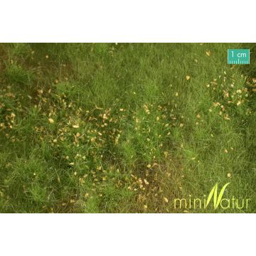 Mininatur Fertile plain meadow with weeds - Spring - ca. 25x15,5cm - H0 / TT (734-21S)