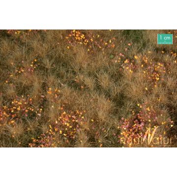 Mininatur Fertile plain meadow with weeds - Late fall - ca. 25x15,5cm - H0 / TT (734-24S)