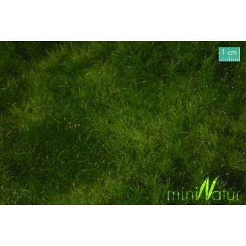 Mininatur Fertile plain meadow - Summer - ca. 25x15,5cm - H0 / TT (733-22S)