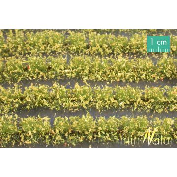 Mininatur Flower field strips - Yellow - ca. 42cm - H0 / TT (767-22S)
