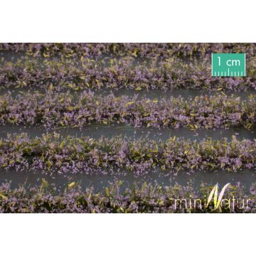 Mininatur Flower field strips - Purple - ca. 42cm - H0 / TT (767-24S)