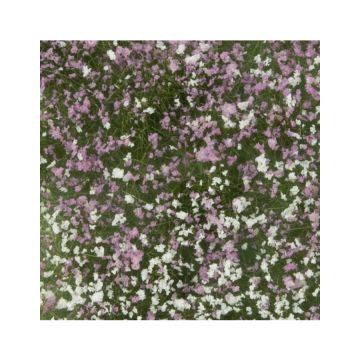 Mininatur Blossom tufts - Early fall - ca 7,5 x 4 cm - H0 / TT (726-23MS)