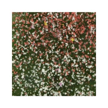 Mininatur Blossom tufts - Summer - ca 7,5 x 4 cm - H0 / TT (726-22MS)