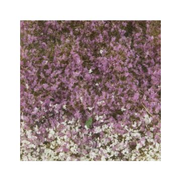 Mininatur Blossom tufts - Late fall - ca. 15x4cm - 1:45+ (726-34S)