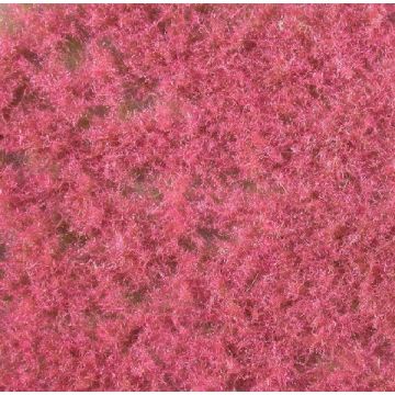 Mininatur Groundcover, pink - Spring - ca. 15x8cm - H0 / TT (791-24S)