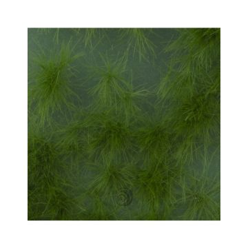 Mininatur Long tufts - Summer - ca. 15x4cm - H0 / TT (727-22S)