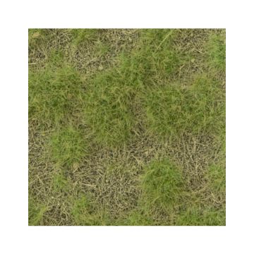 Mininatur Calcareous meadow - Spring - ca.8 x 15 cm - H0 / TT (719-21MS)