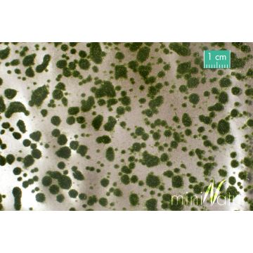 Mininatur Moss pads - Summer - ca. 42x15 cm - H0 / TT (747-22)