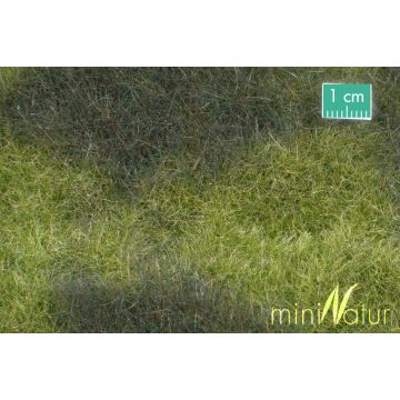 Mininatur Swamp meadow - Early fall - ca. 31,5x25cm - H0 / TT (723-23S)